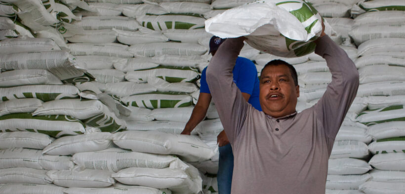 FERTILIZANTES GRATUITOS