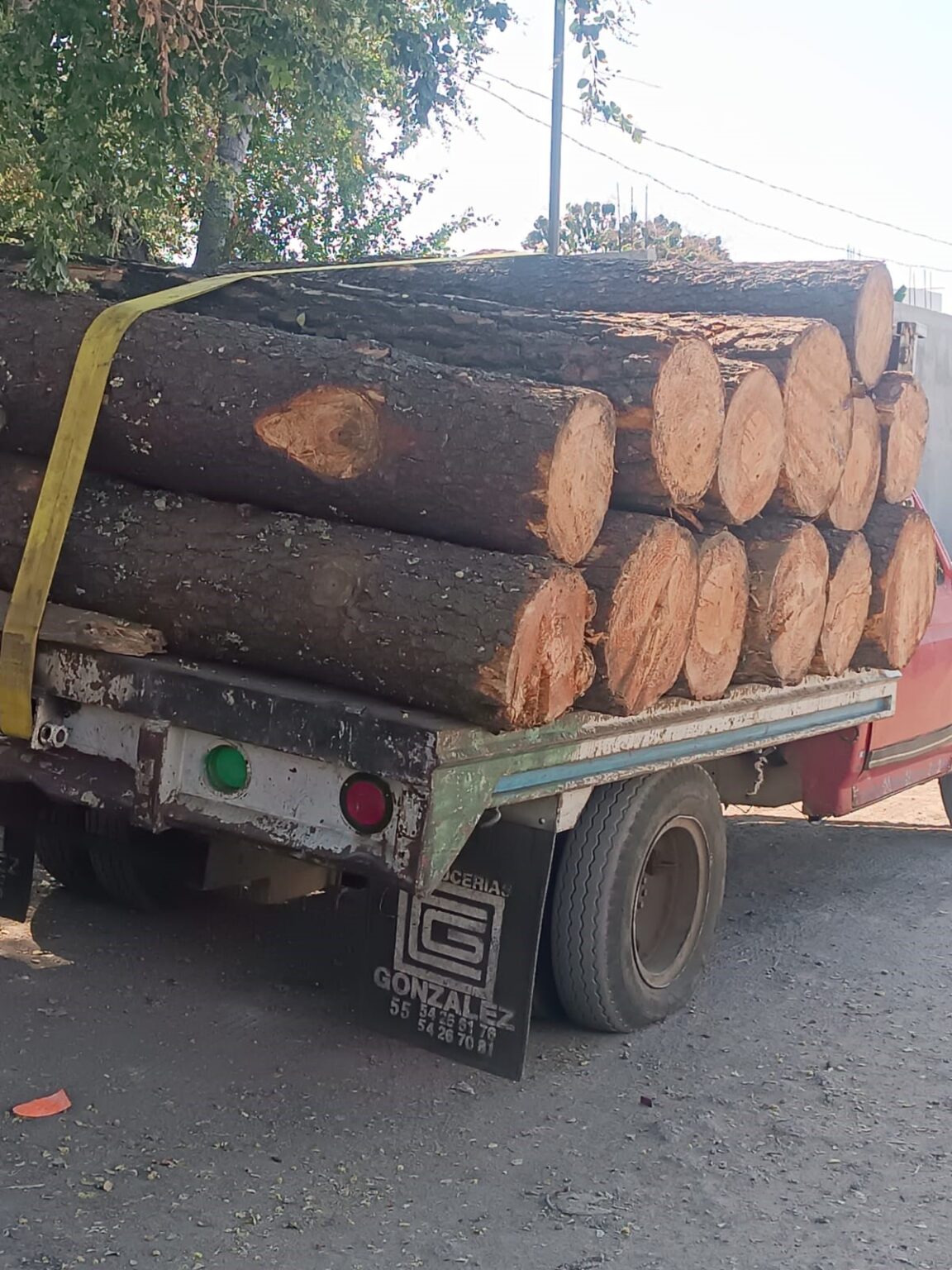 TALA ILEGAL EN BOSQUE DE AGUA