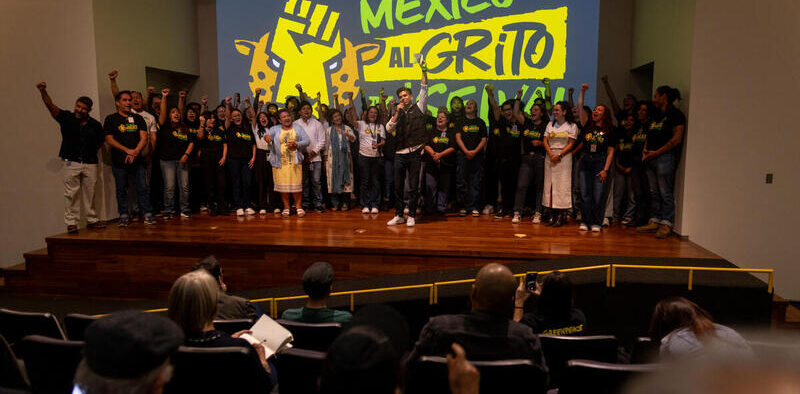 VOCES DE LA SELVA