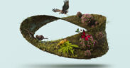 Ley General de Biodiversidad