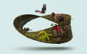 Ley General de Biodiversidad