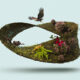 Ley General de Biodiversidad
