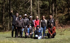 restauración de bosques del Nevado