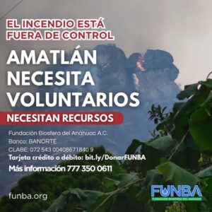 incendios en Tepoztlán