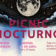 PICNIC NOCTURNO