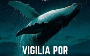 día internacional de la madre tierra