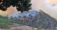 incendios en Oaxaca