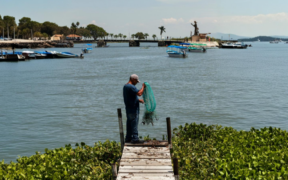 pesca y acuacultura