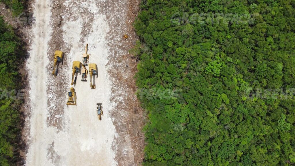 restauración en la Península de Yucatán