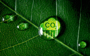 Europa disminuyó su CO2