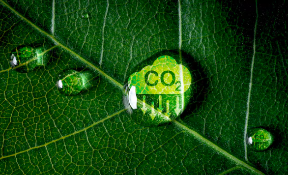 Europa disminuyó su CO2
