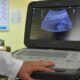 Correcto desarrollo fetal