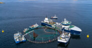Desalination Day
