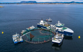 Desalination Day