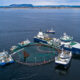 Desalination Day
