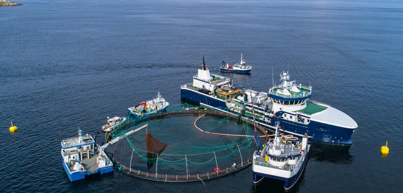 Desalination Day