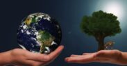 Día Mundial del Medio Ambiente