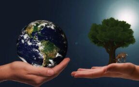 Día Mundial del Medio Ambiente