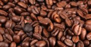 Todos Sembramos Café