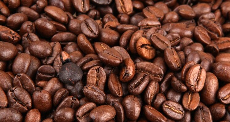 Todos Sembramos Café