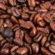 Todos Sembramos Café