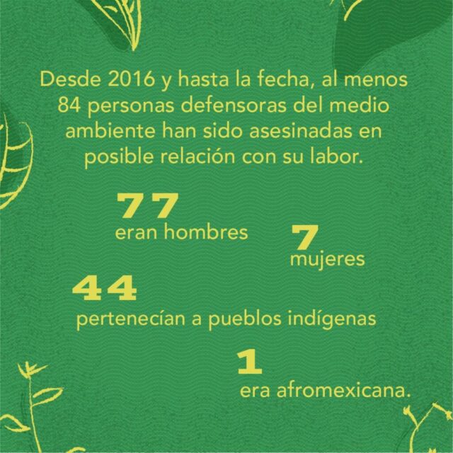 DEFENSORAS DEL MEDIO AMBIENTE