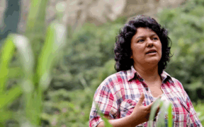 MUJERES DEFENSORAS DEL MEDIOAMBIENTE