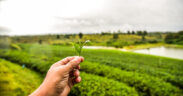 AGROECOLOGÍA