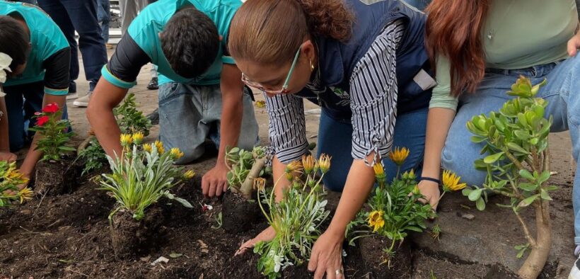 El programa “Reverdeciendo el Centro Histórico” comenzó con la plantación de un ahuehuete y especies nativas para mejorar la imagen urbana.