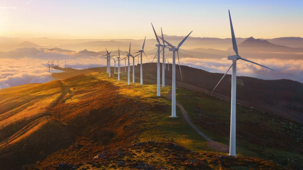 Cox hará una fuerte inversión en México entre 2025 y 2030 en proyectos de energía, agua e infraestructura social, según confirmó la Sener.