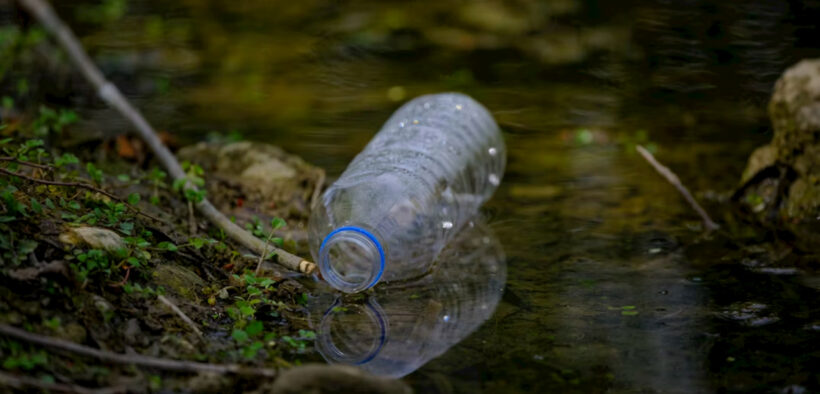 La sostenibilidad empresarial en México exige transparencia y datos sobre impacto ambiental para elegir marcas responsables.