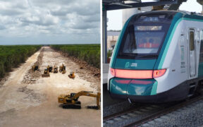 Deforestación, afectaciones a cenotes y riesgos de contaminación: son algunos de los daños ambientales que provocó el Tren Maya.