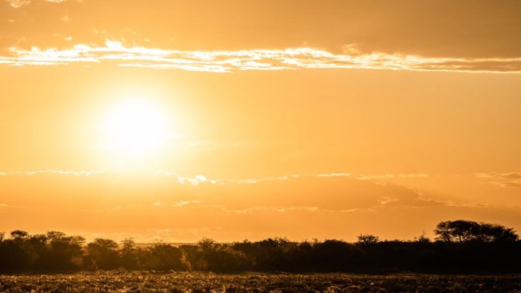 El subsidio de luz CFE para estados con altas temperaturas concluye el 31 de octubre de 2025; inició en mayo y ofrece tarifa preferencial.