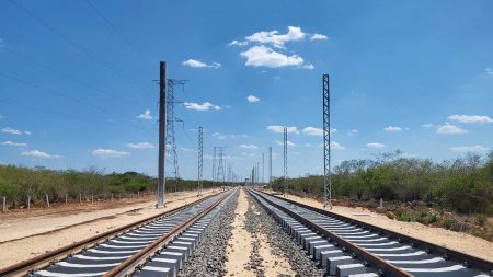 Semarnat autoriza terminal de carga del Tren Maya en Cancún, lo que representa una afectación ambiental en 261 hectáreas de selva.