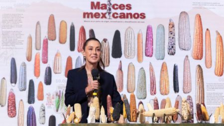 Claudia Sheinbaum celebró el Día Nacional del Maíz en Palacio Nacional y anunció un programa nacional para fortalecer la economía campesina.