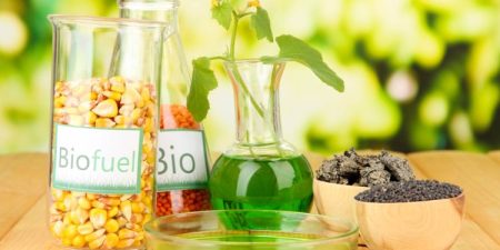 biocombustibles