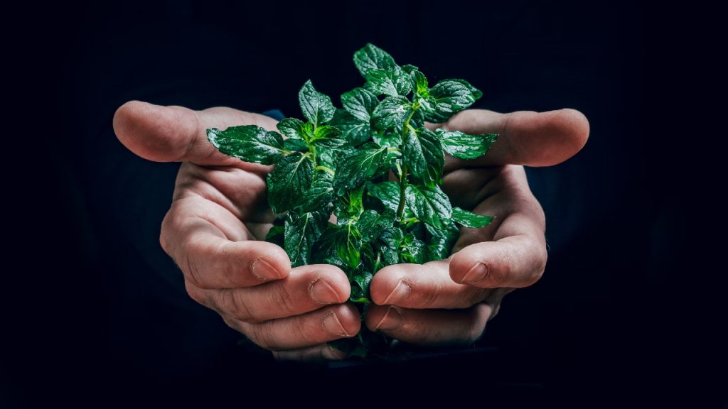 México cuenta con 13 proyectos aprobados por el Fondo Verde para el Clima de la ONU, informó la subsecretaria de Hacienda.
