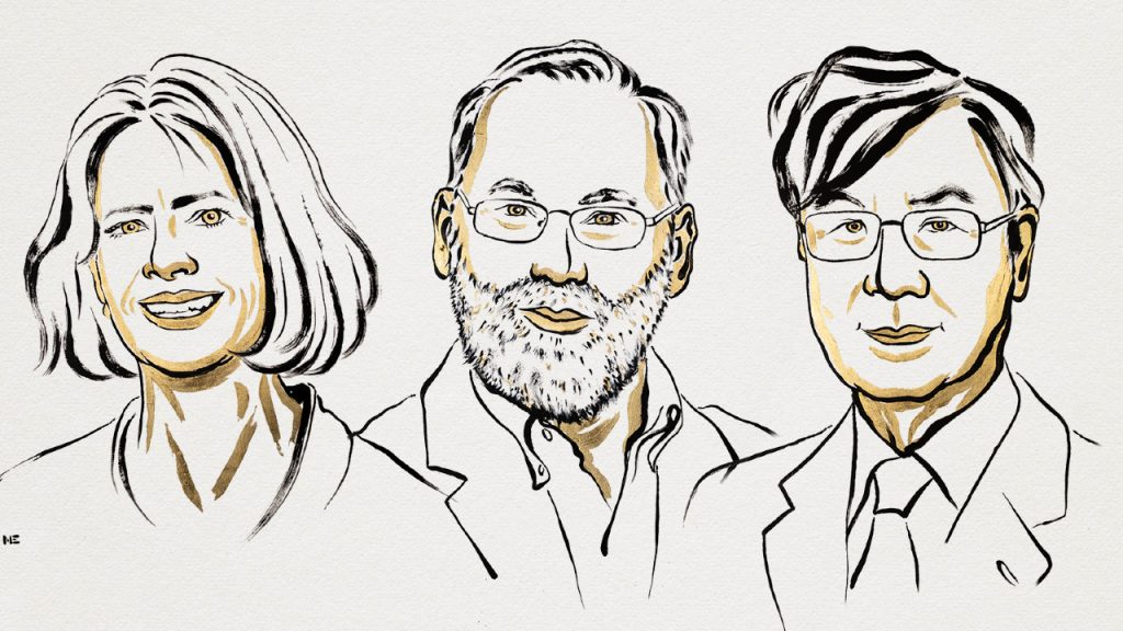 Tres científicos ganan el Nobel de Medicina 2025 por descubrir el mecanismo que impide que el sistema inmunitario ataque al propio cuerpo.