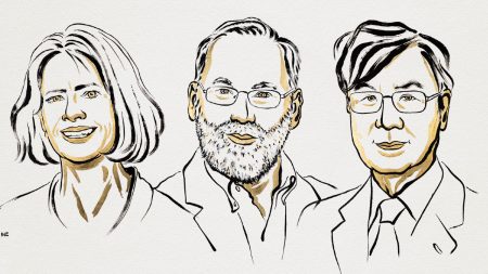 Tres científicos ganan el Nobel de Medicina 2025 por descubrir el mecanismo que impide que el sistema inmunitario ataque al propio cuerpo.
