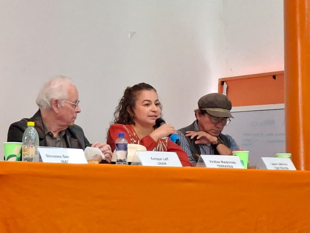 Tren Maya: militarización, ecocidio y despojos, señala un nuevo informe de organizaciones