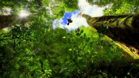 GreenTech Latam 2025