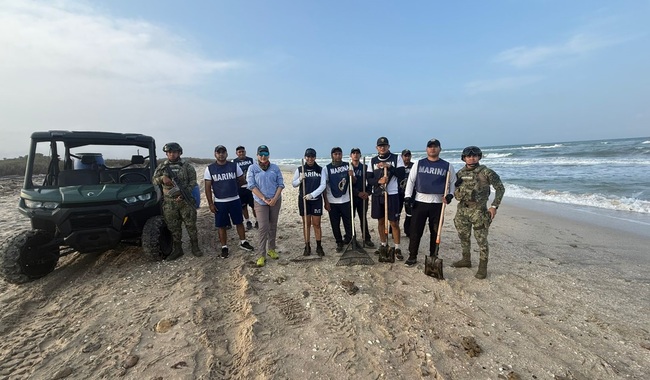 Grupo interinstitucional resguarda arribo de tortuga lora en costas de Tamaulipas