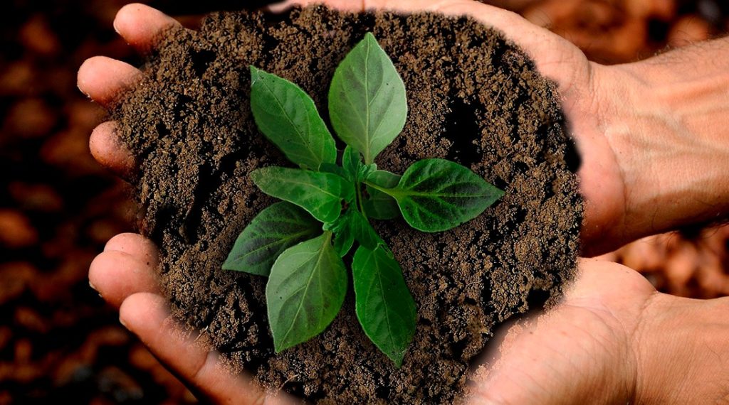 Cadenas de suministro sostenibles para transformar la agricultura: WESS 2026 cadenas