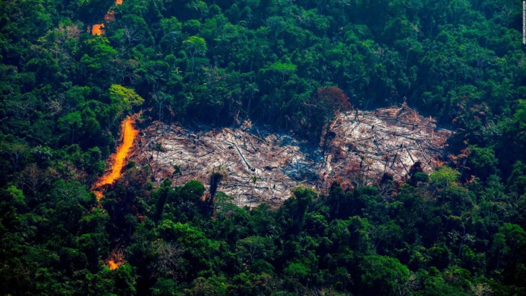 La selva amazónica ya emite más CO2 del que absorbe