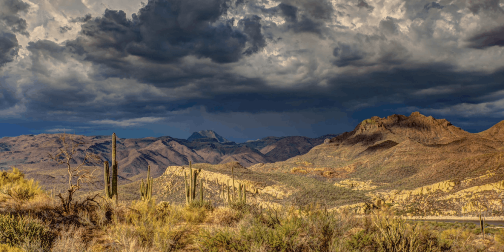 Resiliencia ambiental fortalece ecosistemas con apoyo de PwC Foundation